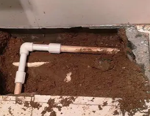 从化测漏水哪家好