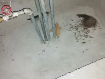 从化卫生间测漏水价格明细