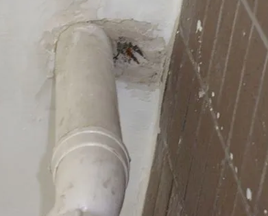 从化漏水检测哪家好